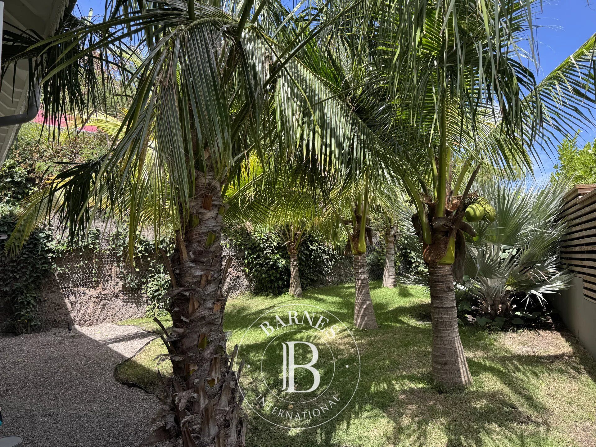 Casa Saint-Barthélemy - picture 2