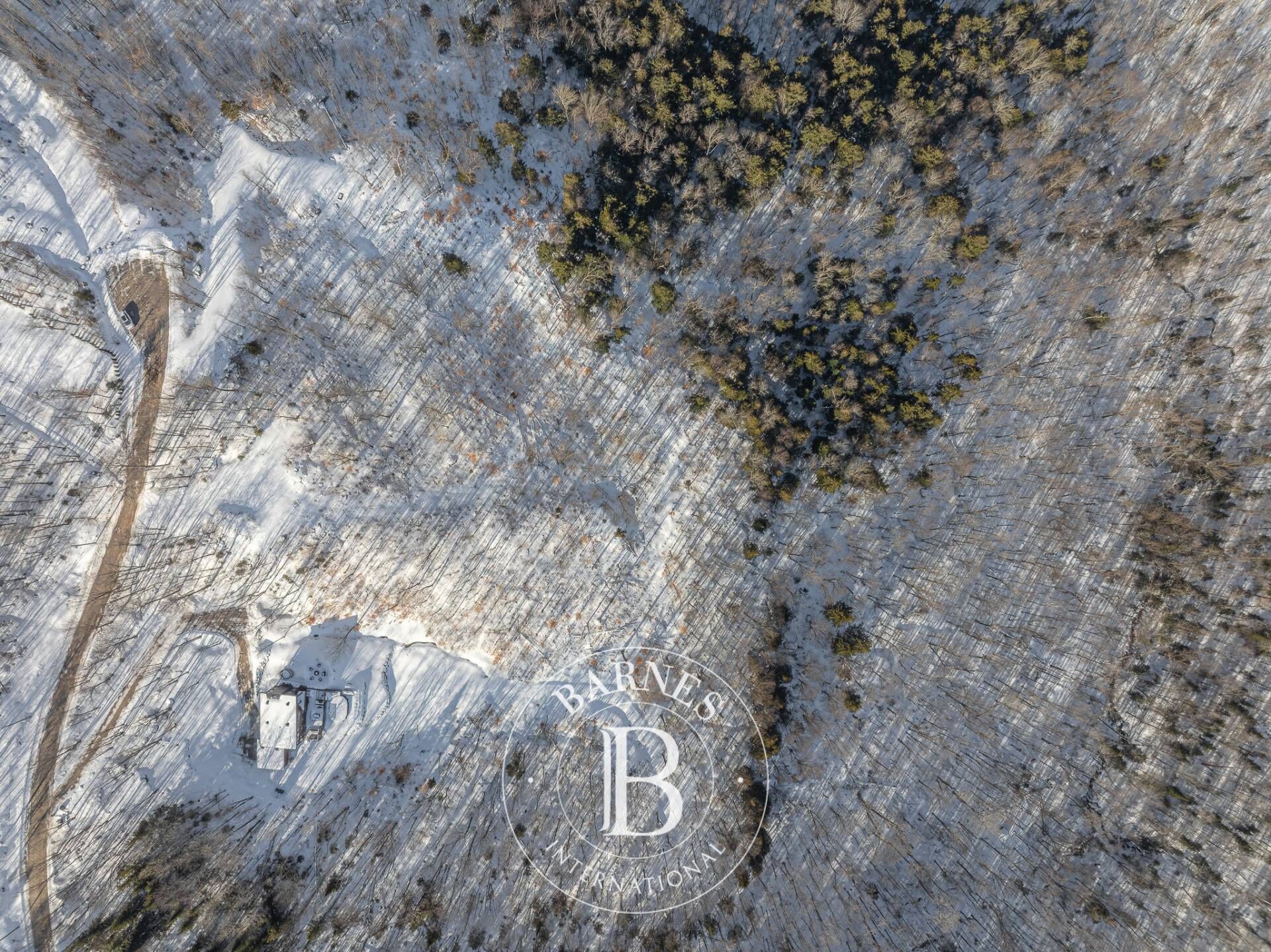 Terreno Mont-Blanc - picture 2