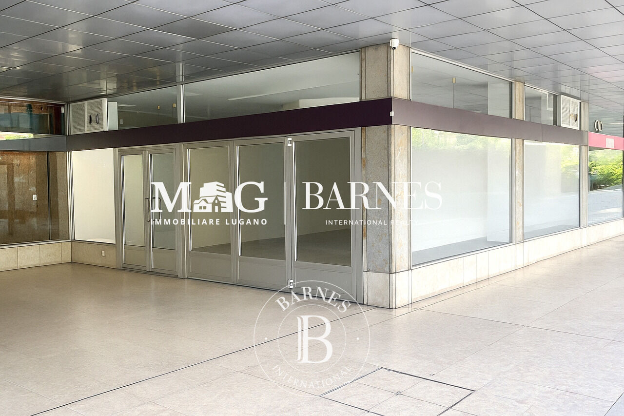 Building Lugano - picture 1