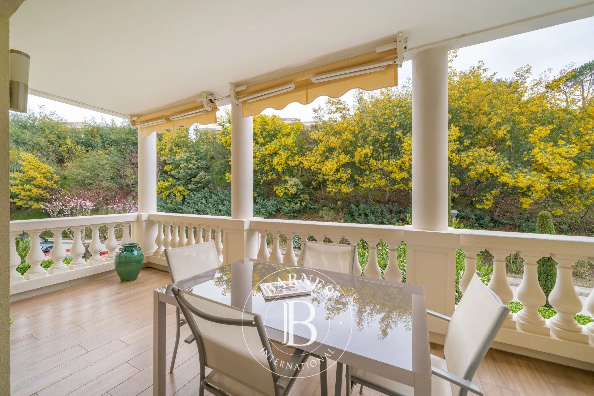 MANDELIEU LA NAPOULE - APPARTEMENT 1 PIÈCE - VUE DÉGAGÉE - picture 1