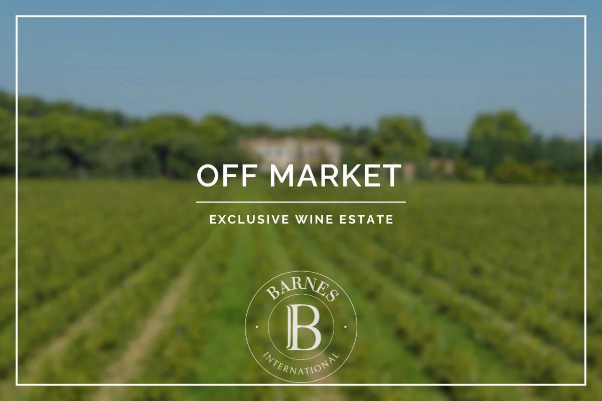 Exclusivité – Avignon – Domaine viticole avec château – Evénementiel & Œnotourisme - picture 1