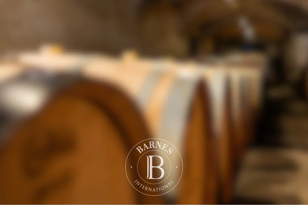 Exclusivité – Avignon – Domaine viticole avec château – Evénementiel & Œnotourisme - picture 2