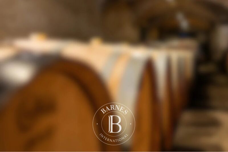 Vendita Proprietà vinicola | Avignon - picture 2