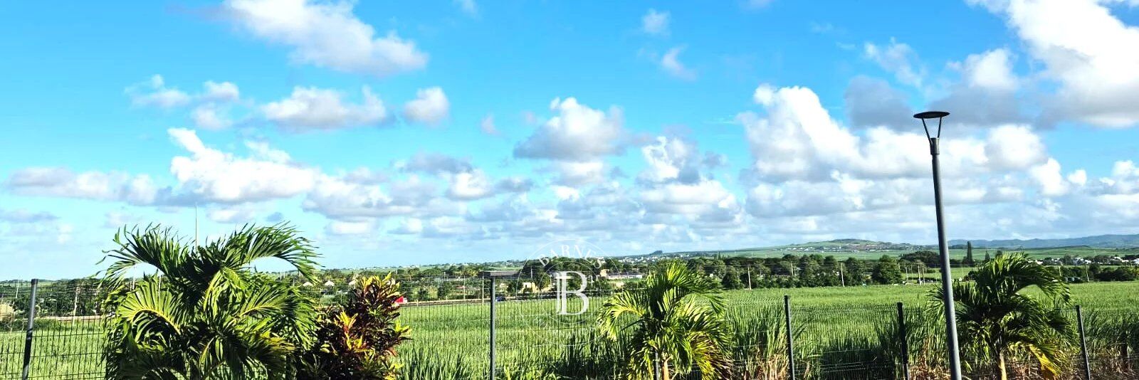 Casa Mapou - picture 2