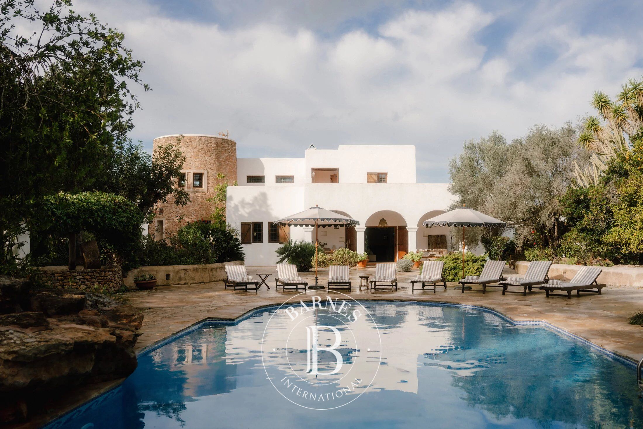 Can Verdant - picture 1