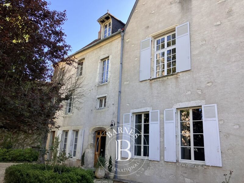 For Sale Mansion | Mehun-sur-Yèvre - picture 2