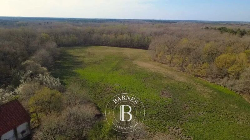 À vendre Domaine de chasse | Salbris - picture 2