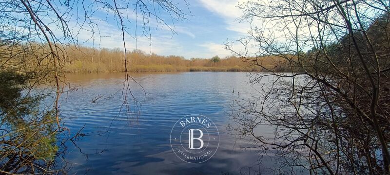 Vendita Riserva di caccia | Salbris - picture 1