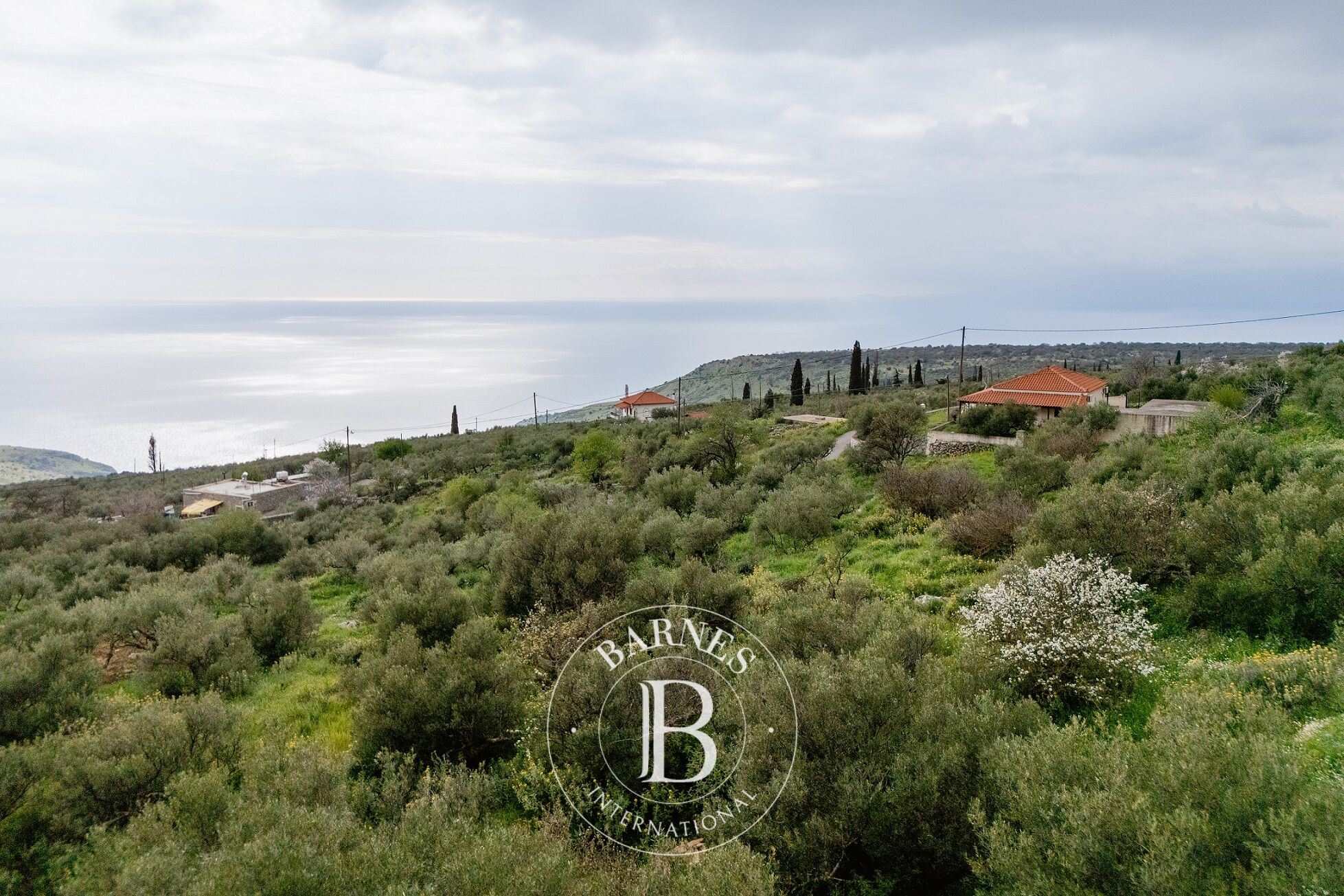 Bauland Mani - picture 1