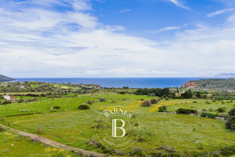 À vendre Terrain constructible | Naxos - picture 2