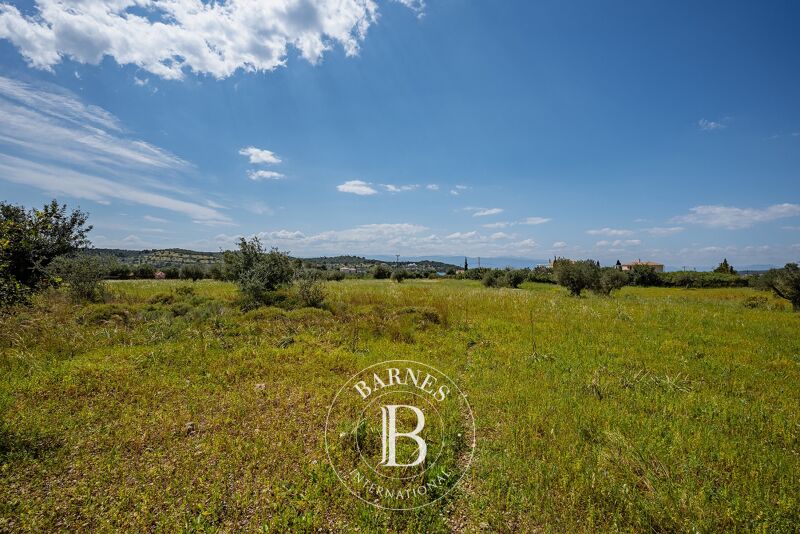Venta Terreno urbanizable | Argolida - picture 2