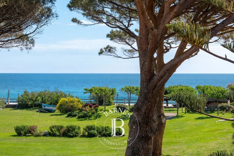 For Sale Property | Sisco - picture 1