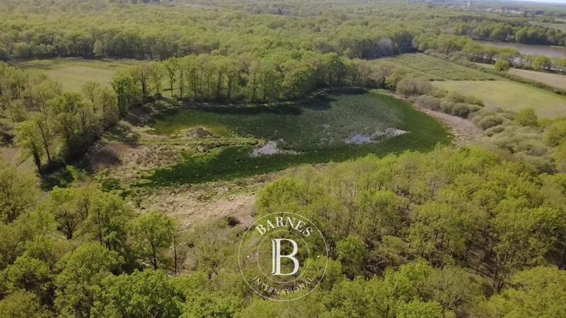 Venta Finca | Chaumont-sur-Tharonne - picture 2