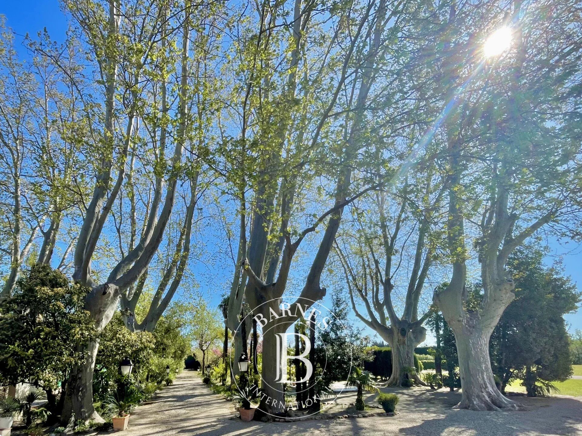 Toulouges - Mas XIXᵉ siècle - picture 2