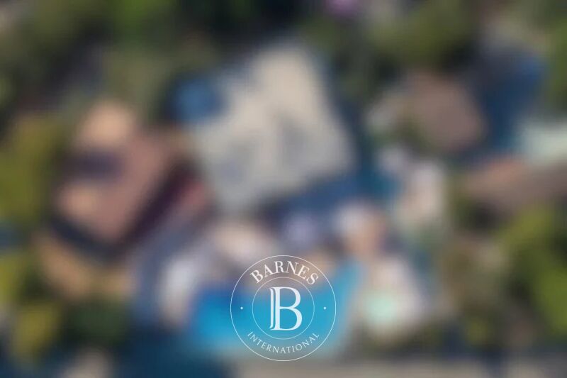 For Sale Company | Ajaccio - picture 3