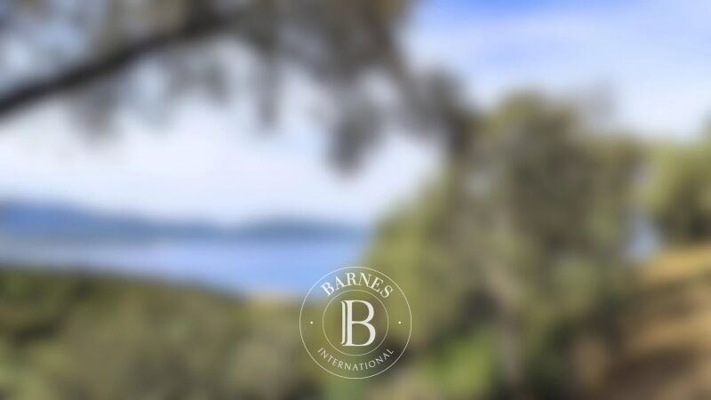 For Sale Company | Ajaccio - picture 2