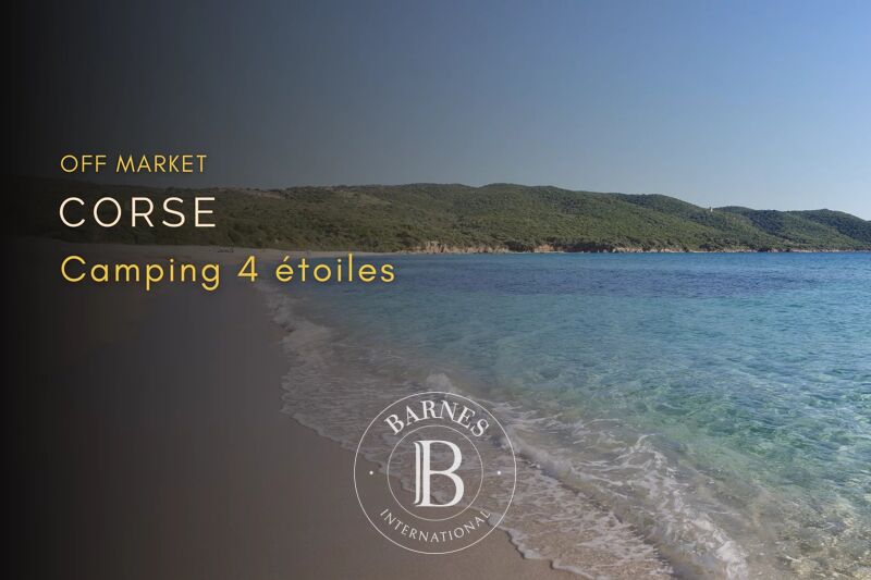 For Sale Company | Ajaccio - picture 1