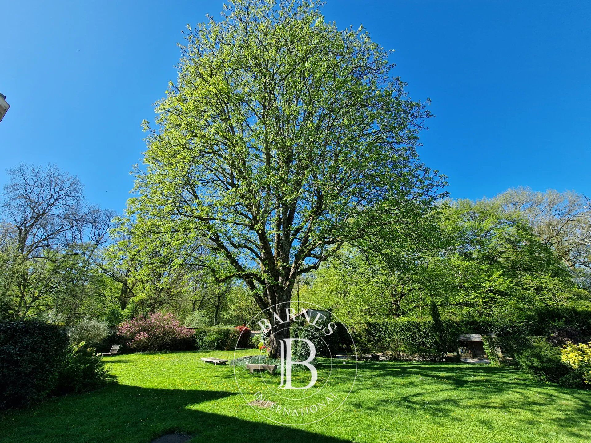 Proche Rambouillet, maison bourgeoise en excellent état de 337m2 habitables sur 2450m2 de terrain arboré. - picture 2