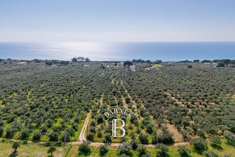 Terreno urbanizable Messinia