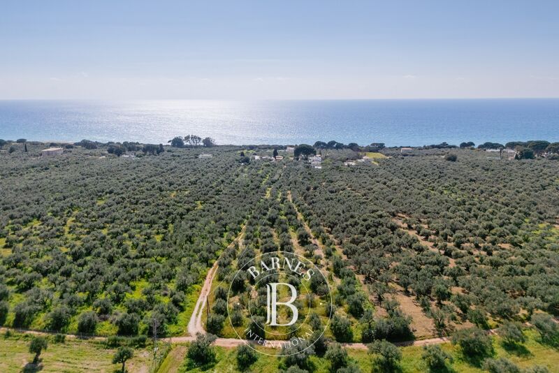 Venta Terreno urbanizable | Messinia - picture 1