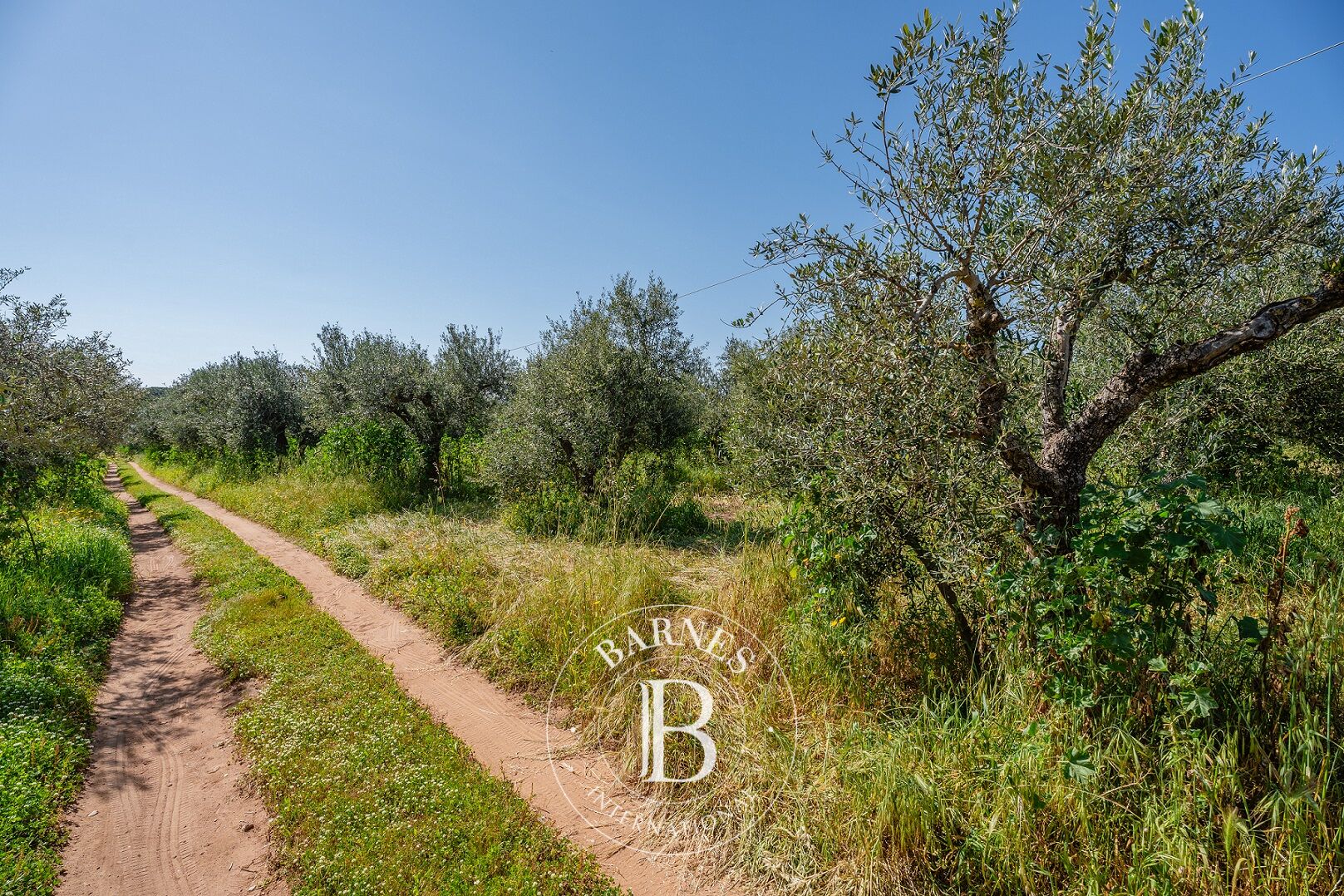 Terreno urbanizable Messinia - picture 2