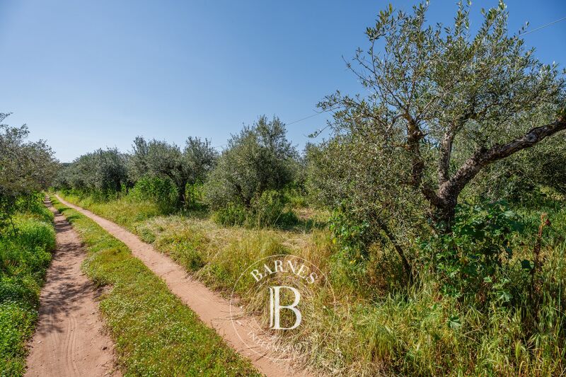 Venta Terreno urbanizable | Messinia - picture 2