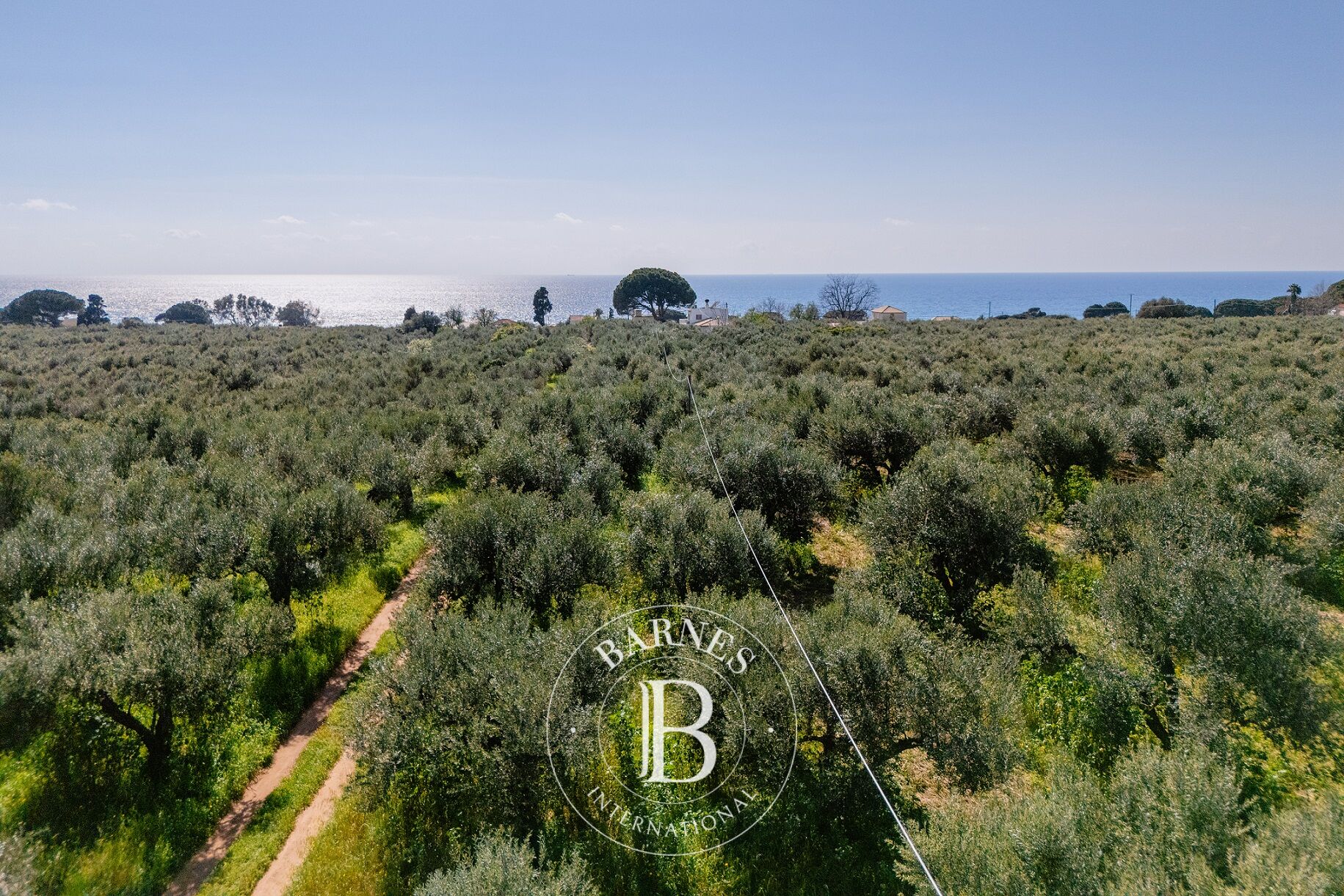 Terreno urbanizable Messinia - picture 3