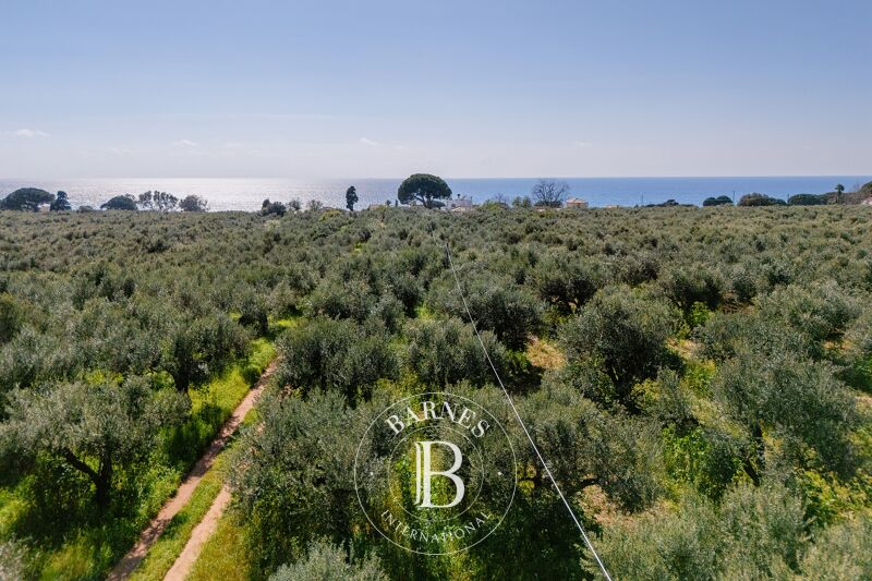 Venta Terreno urbanizable | Messinia - picture 3