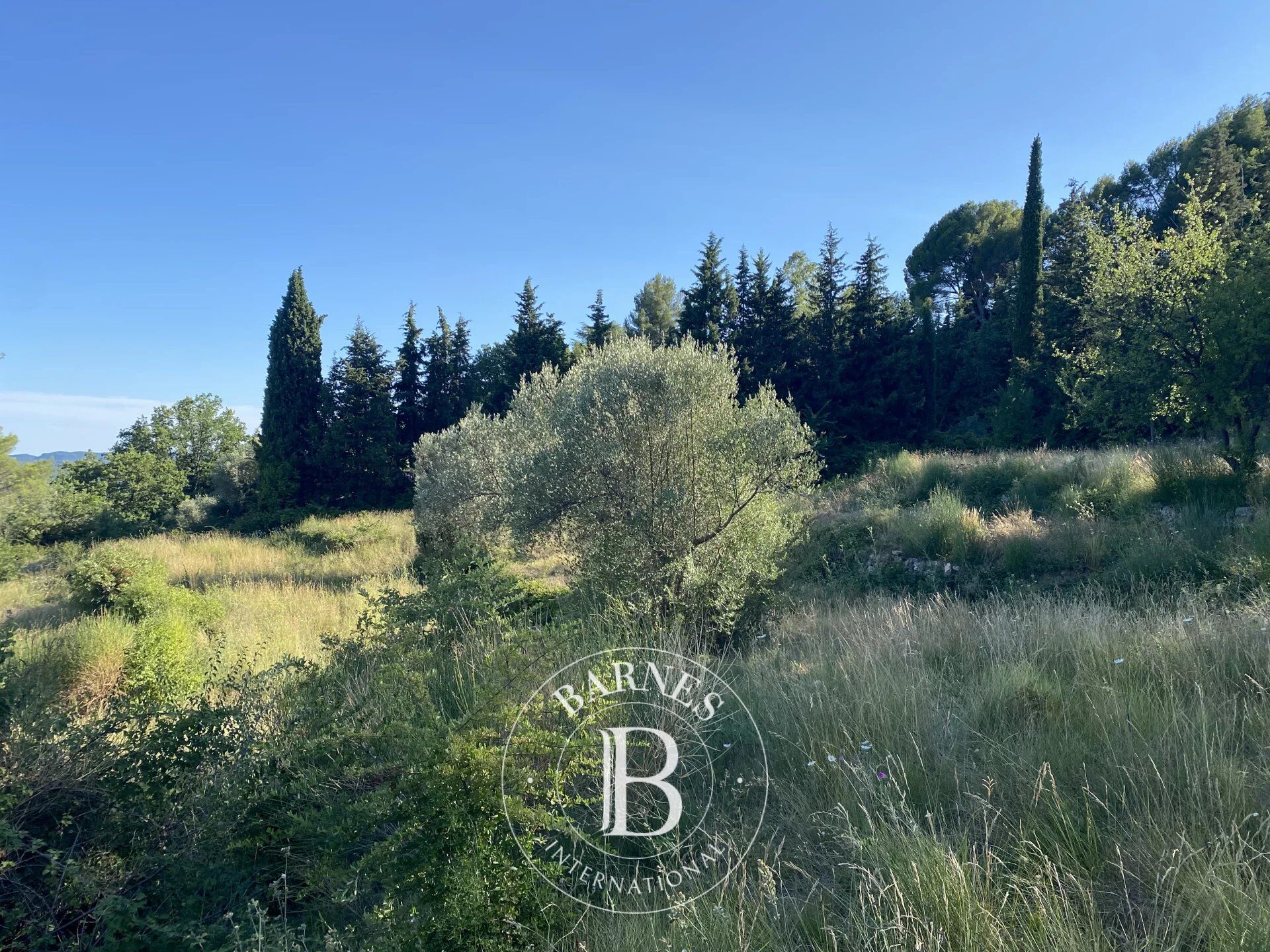 Bauland Fayence - picture 2