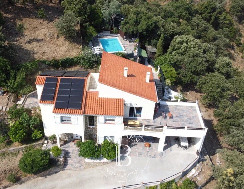 Le Boulou - House with a pool - Panoramic views - picture 2
