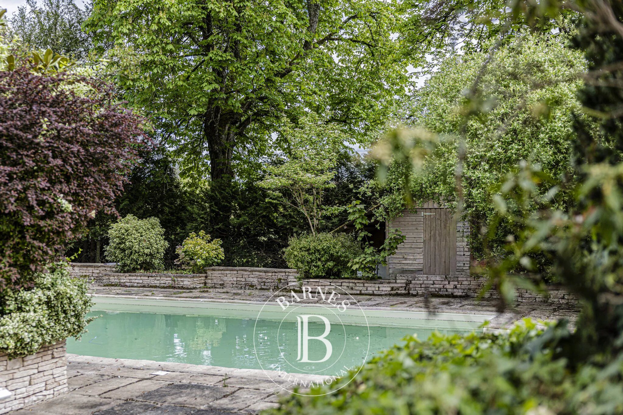 Finca La Ferté-Saint-Aubin - picture 2