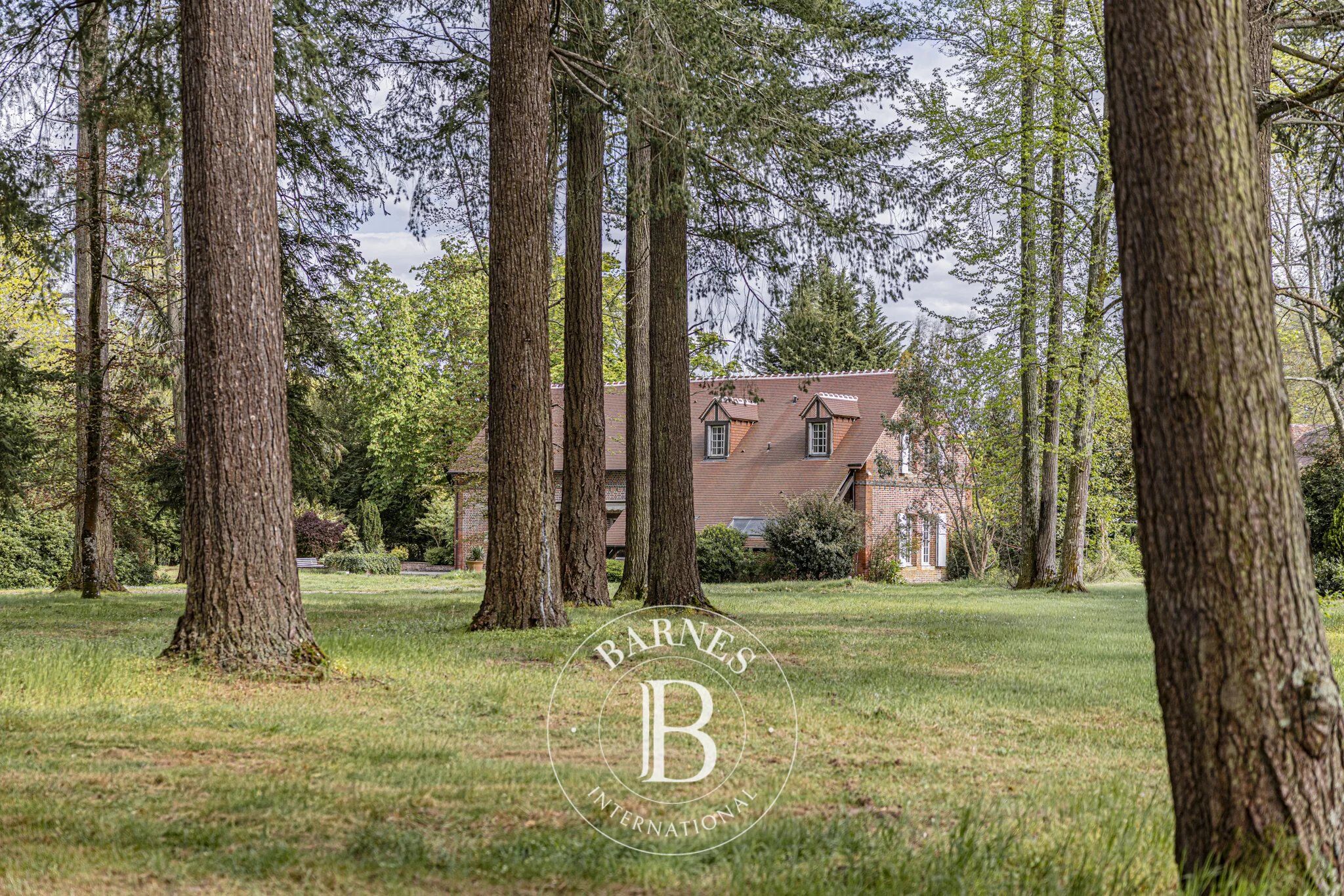 Finca La Ferté-Saint-Aubin - picture 1