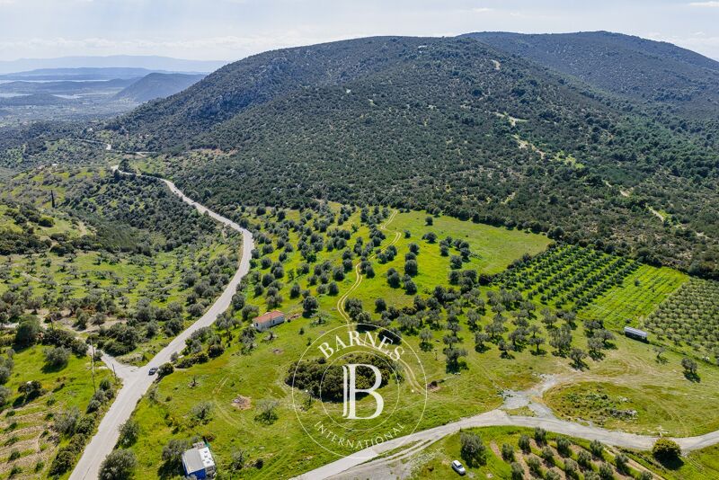 À vendre Terrain constructible | Argolida - picture 3