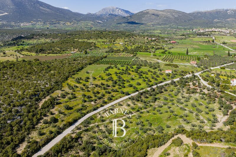 À vendre Terrain constructible | Argolida - picture 2