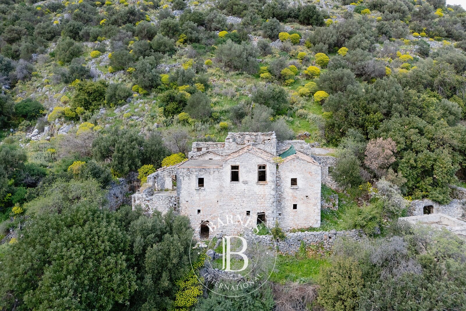 Stone House with Sea View - Laconia - picture 2