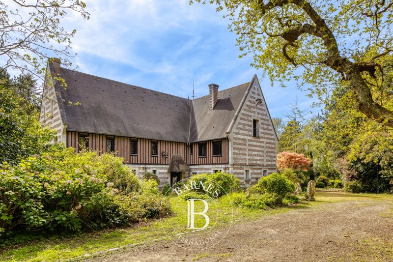 YPORT - Manor house with its private woods with... - picture 1