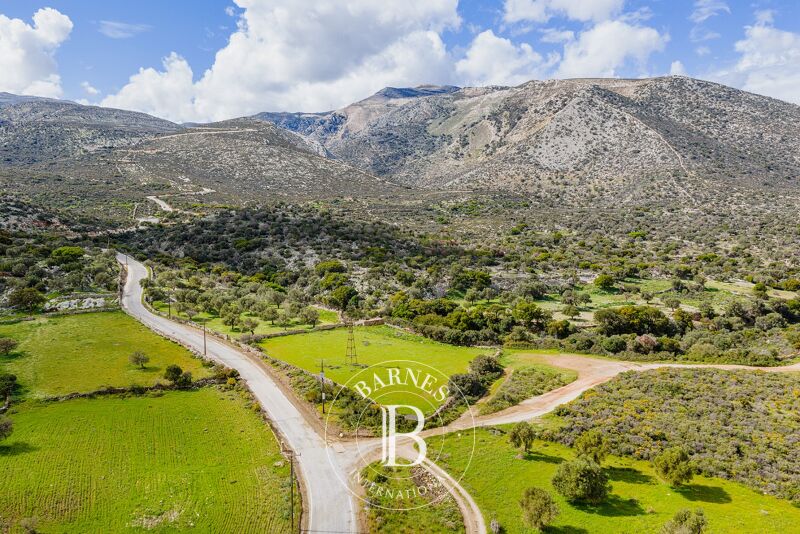 À vendre Terrain constructible | Naxos - picture 2