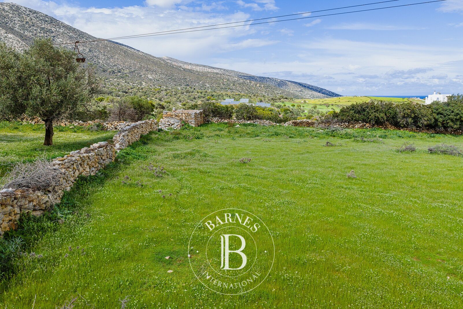 Terrain Constructible avec Vue - Île de Naxos - picture 3