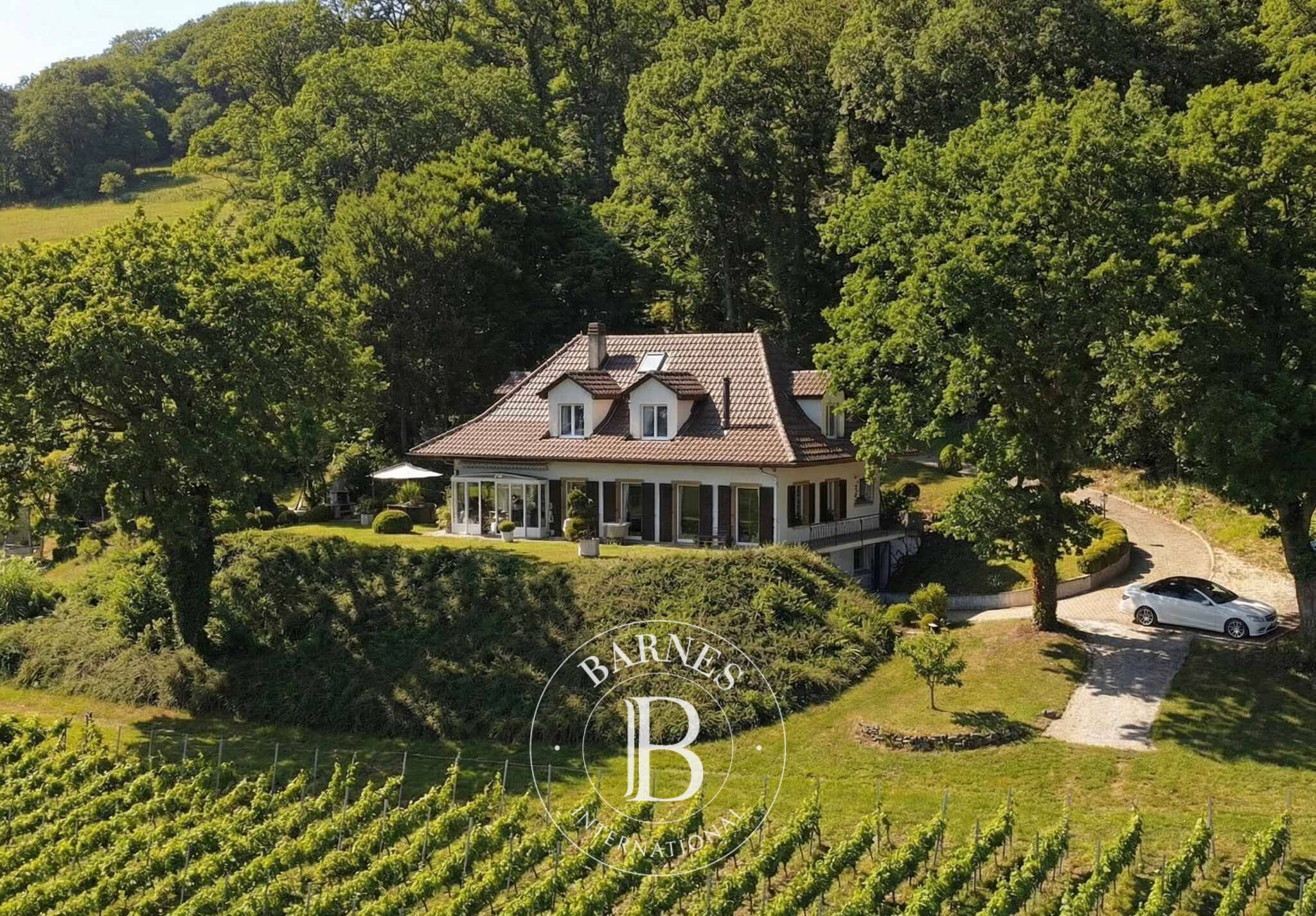 Villa Onnens VD - picture 1