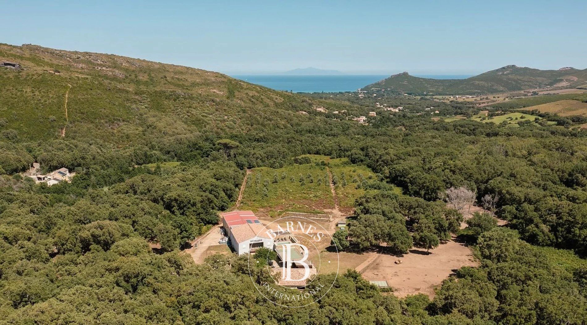 Cap Corse, Pietracorbara, Domaine privé, 6 logements, piscine et espaces extérieurs, projet résidentiel ou touristique, proche plage - picture 1
