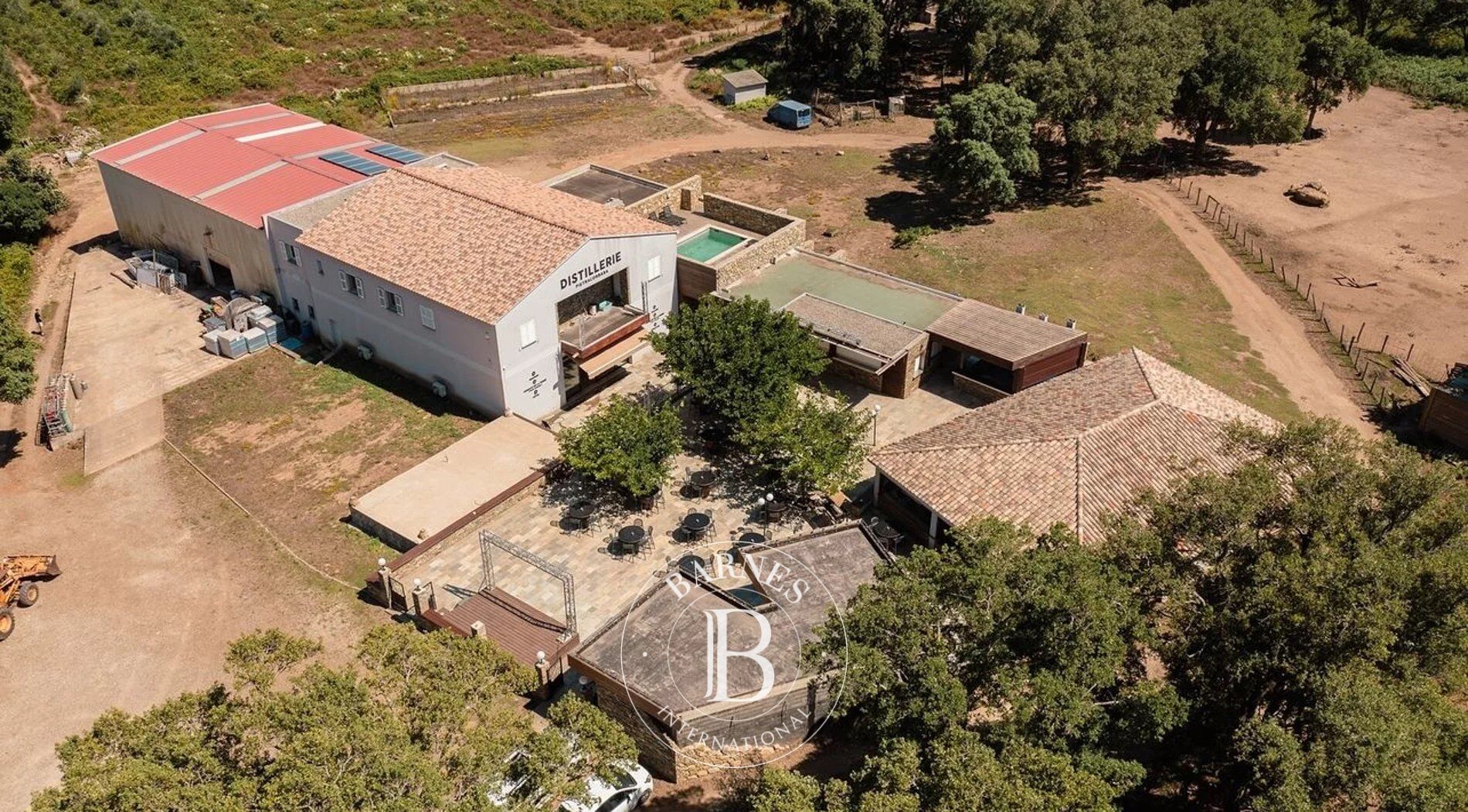 Cap Corse, Pietracorbara, Domaine privé, 6 logements, piscine et espaces extérieurs, projet résidentiel ou touristique, proche plage - picture 3