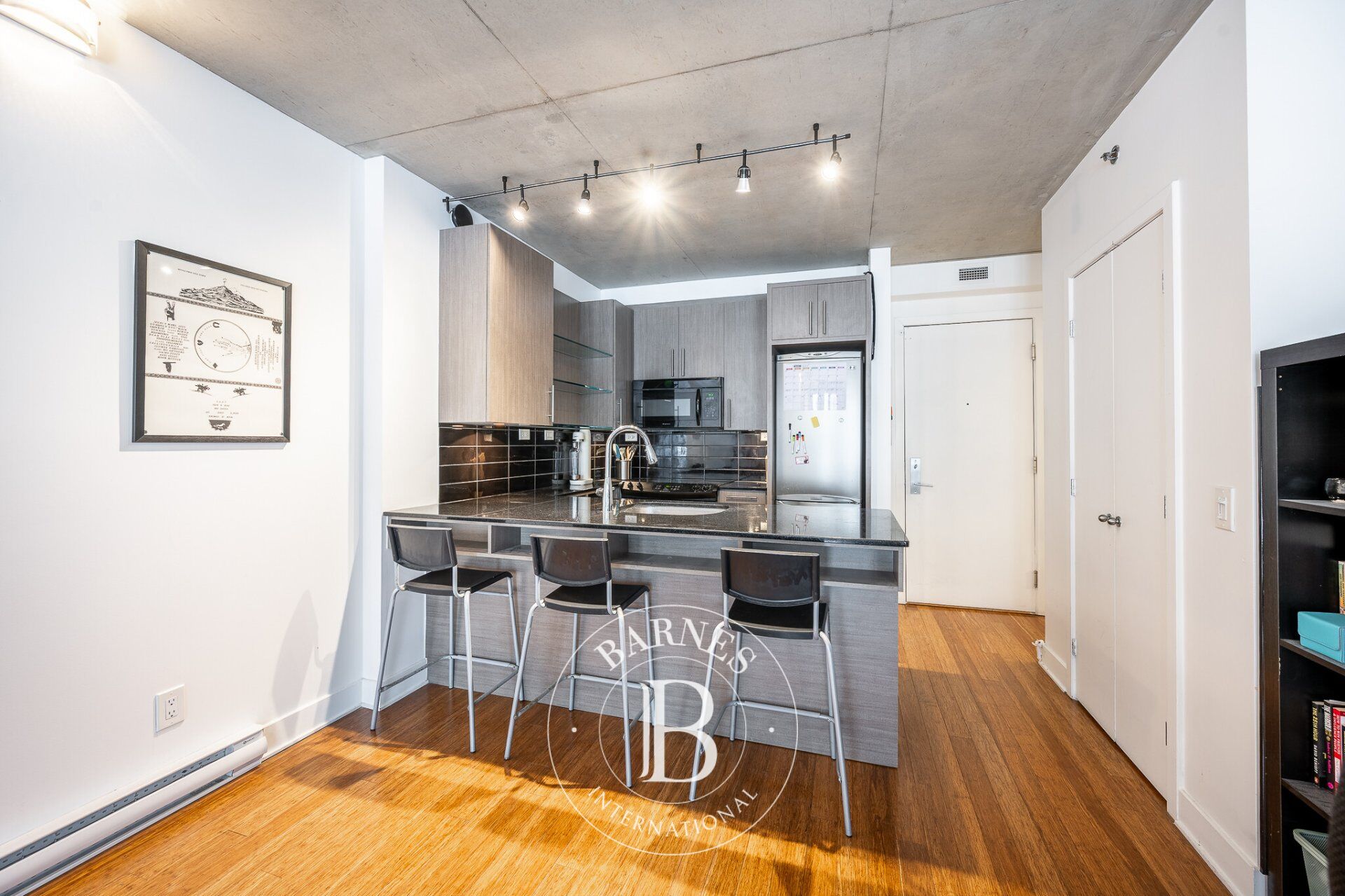 950 Rue Notre-Dame O. #305  Montréal (Le Sud-Ouest) (Montréal) - picture 2