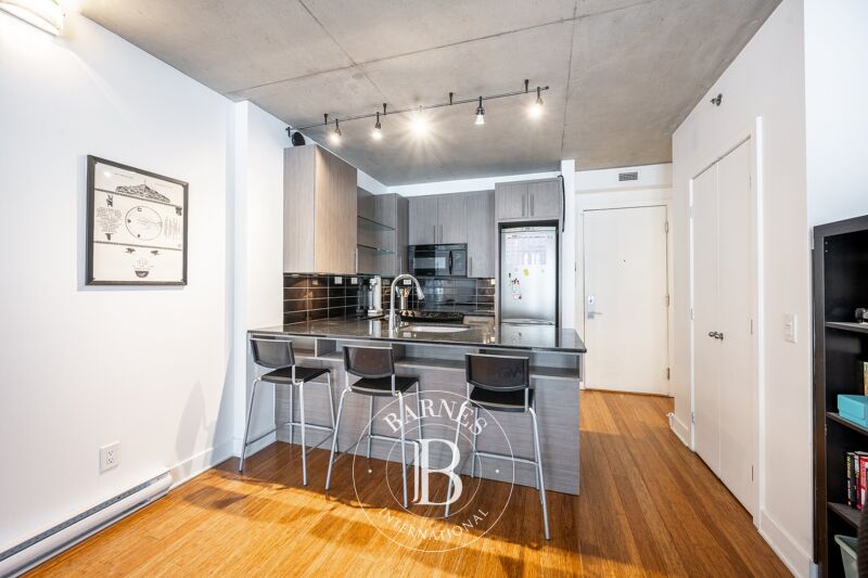For Sale Apartment | Montréal (Le Sud-Ouest) - picture 2
