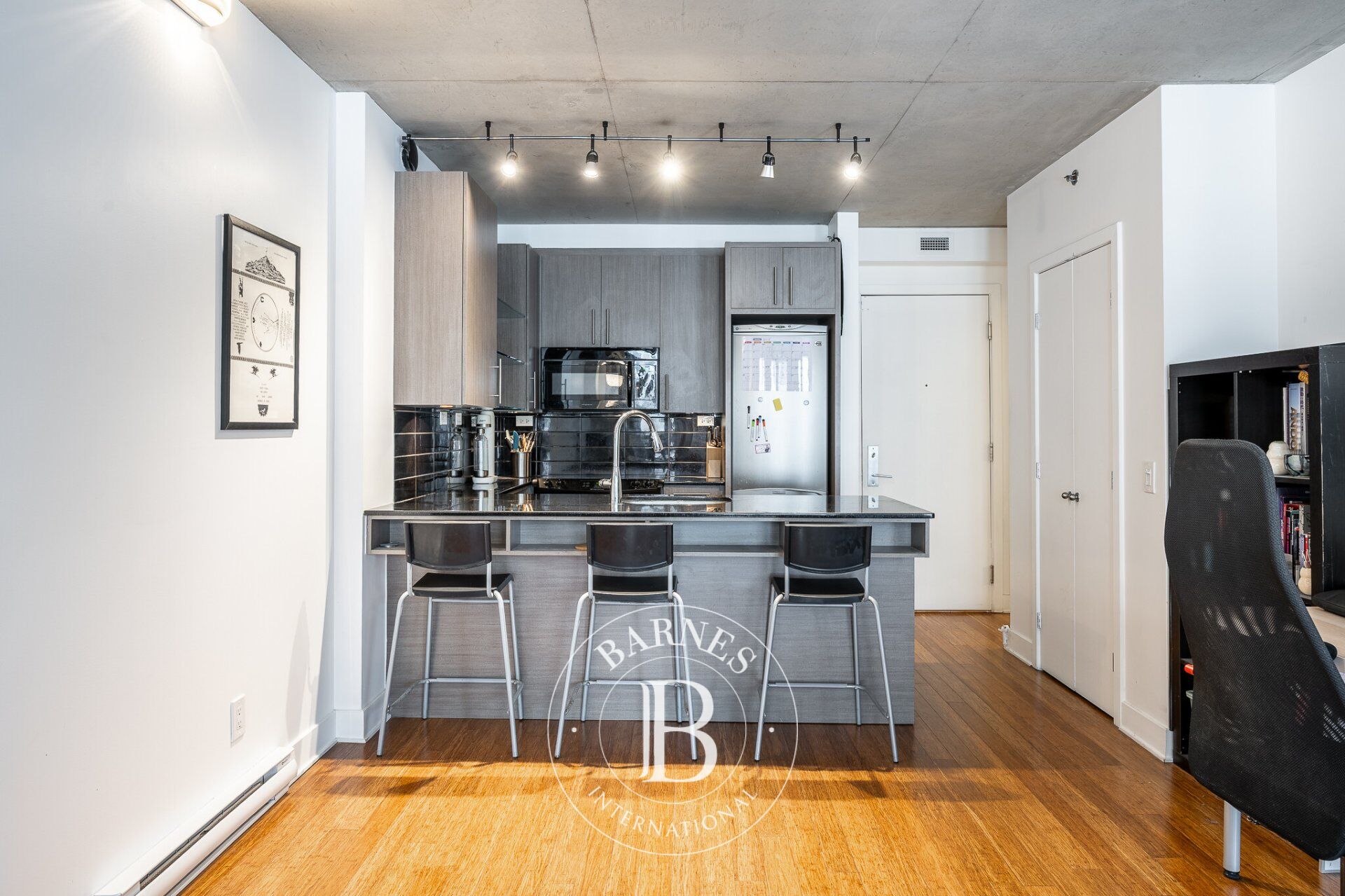 950 Rue Notre-Dame O. #305  Montréal (Le Sud-Ouest) (Montréal) - picture 3