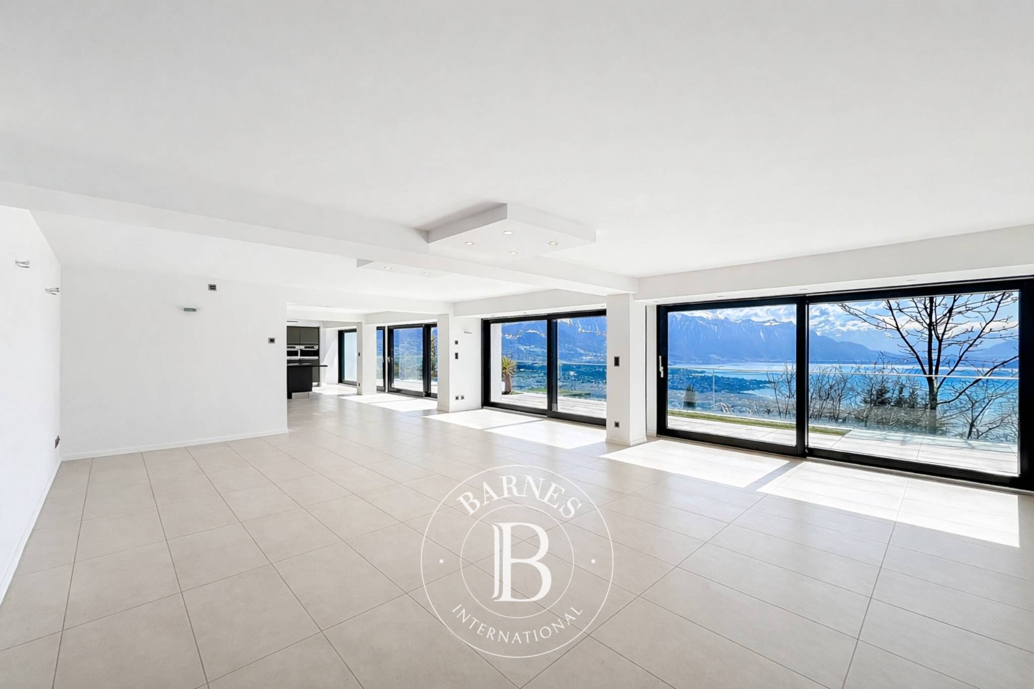 Villa Chardonne - picture 3