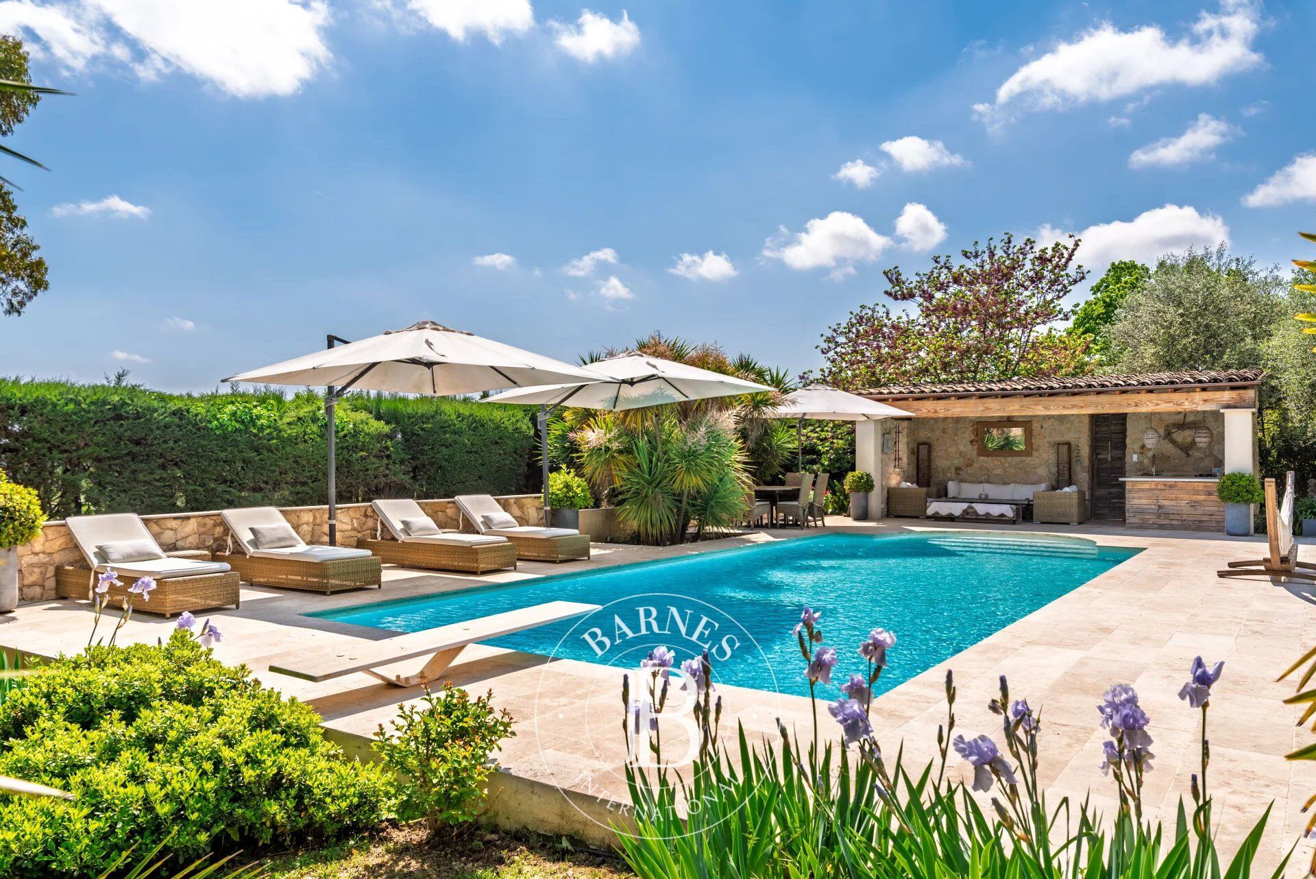 Roquefort-les-Pins, au calme absolu, 4 chambres, studio indépendant et piscine - picture 1