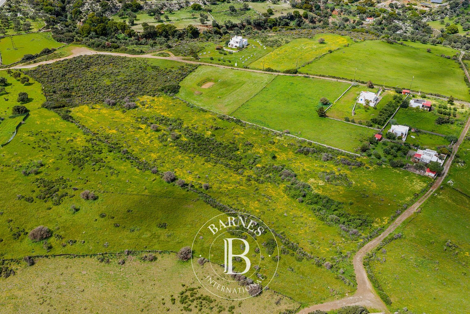 Terrain avec Permis - Île de Naxos - picture 3