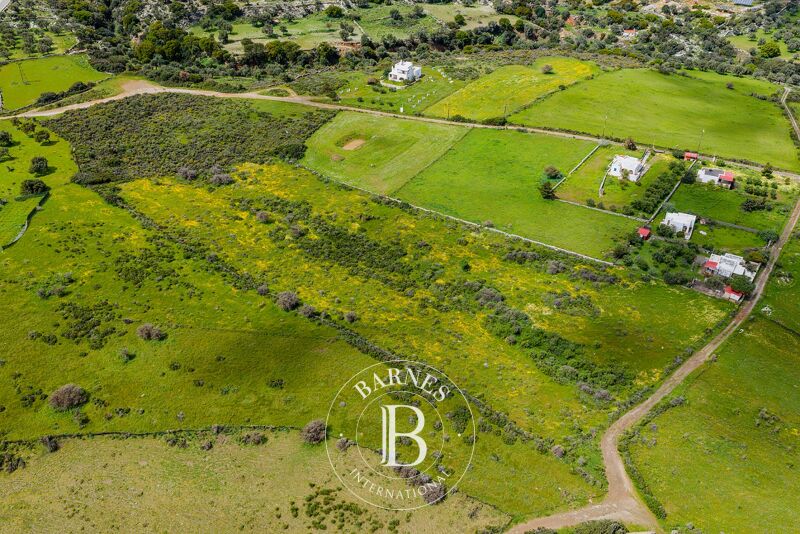 À vendre Terrain constructible | Naxos - picture 3