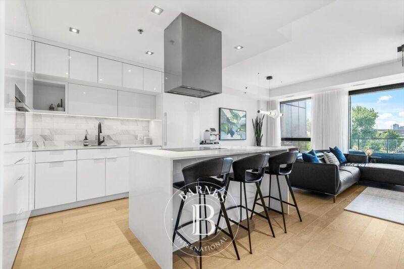 For Sale Apartment | Montréal (Le Sud-Ouest) - picture 2
