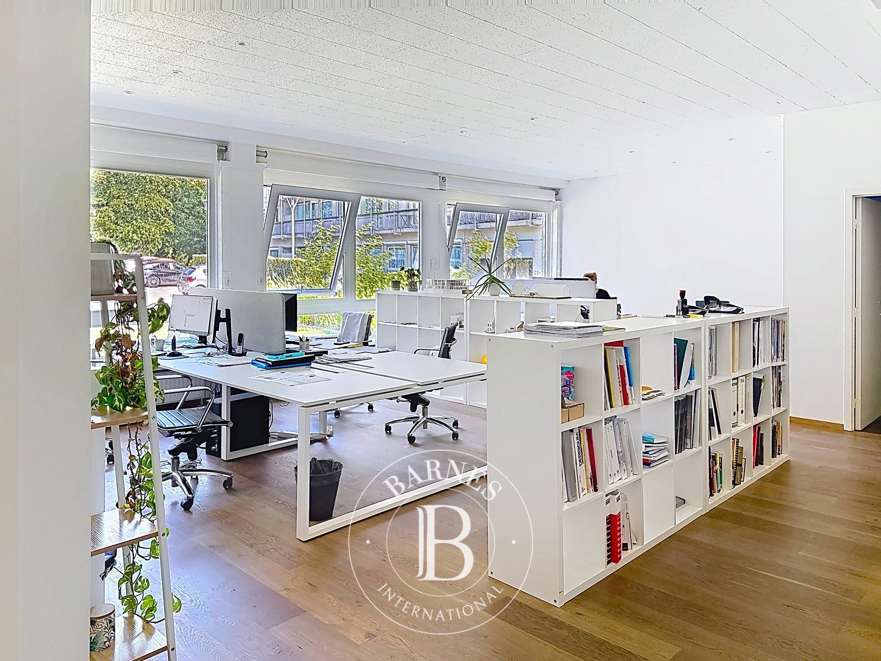 Bright offices in a green environment - picture 1